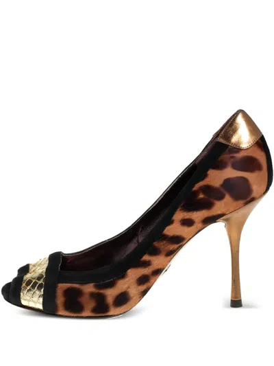 Pre-owned Dolce & Gabbana 2024 Pony Hair Leopard-print Pumps In Brown