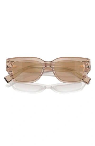 Dolce & Gabbana 52mm Cat Eye Sunglasses In Camel