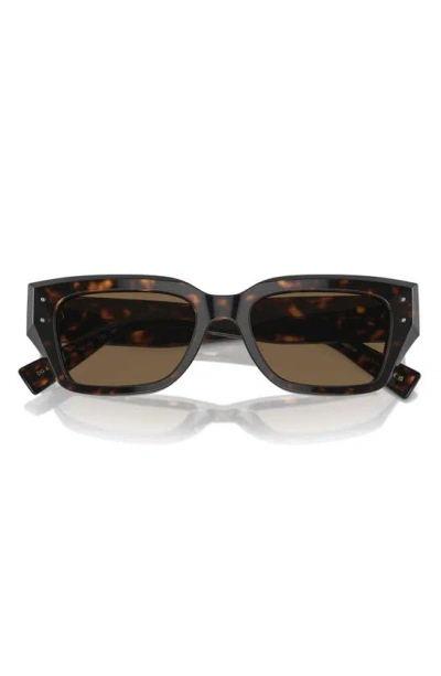 Dolce & Gabbana 52mm Cat Eye Sunglasses In Havana
