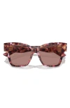 Dolce & Gabbana 54mm Gradient Square Sunglasses In Lite Brown