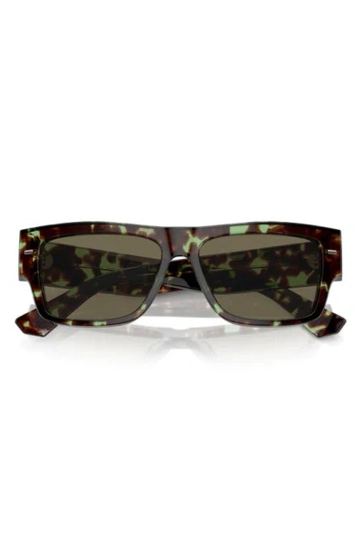 Dolce & Gabbana 55mm Rectangular Sunglasses In Brown