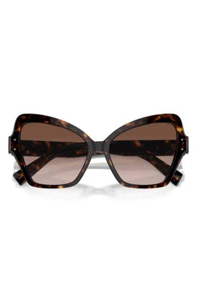 Dolce & Gabbana 56mm Butterfly In Havana