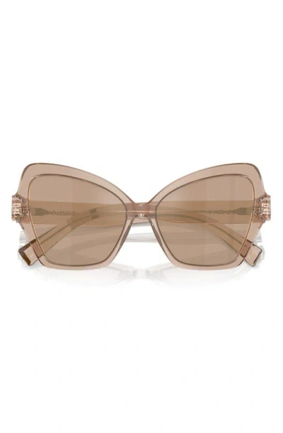 Dolce & Gabbana 56mm Butterfly Sunglasses In Camel