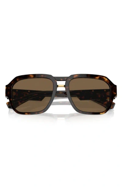 Dolce & Gabbana 56mm Pilot Sunglasses In Havana