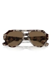 Dolce & Gabbana 56mm Square Aviator Polarized Sunglasses In Dark Brown
