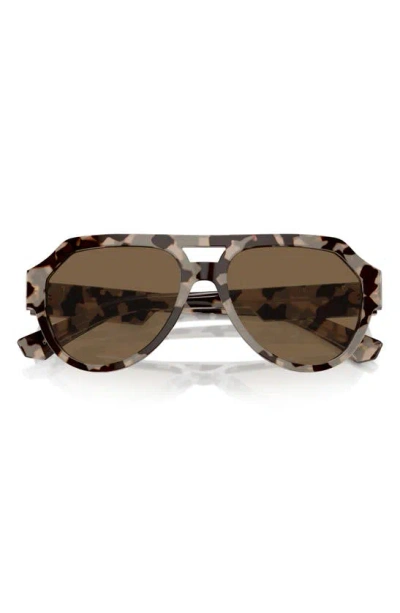 Dolce & Gabbana 56mm Square Aviator Polarized Sunglasses In Brown