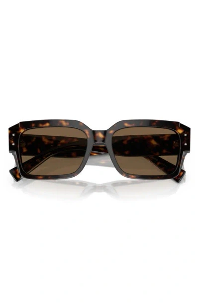 Dolce & Gabbana 56mm Square Sunglasses In Havana