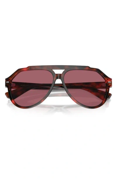 Dolce & Gabbana 60mm Pilot Sunglasses In Brown