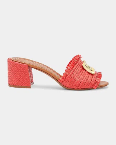 Dolce & Gabbana 60mm Raffia Logo Block Heel Mules In Red