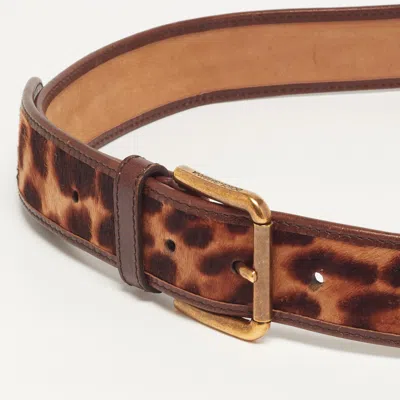 Pre-owned Dolce & Gabbana 85 Cm Buckle Belt Brown Leopard Print Calf Hair And Leather