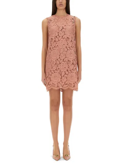 Dolce & Gabbana Pink Dg Logo Floral Lace Short Dress