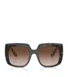Dolce & Gabbana Acetate Square Sunglasses In Brown