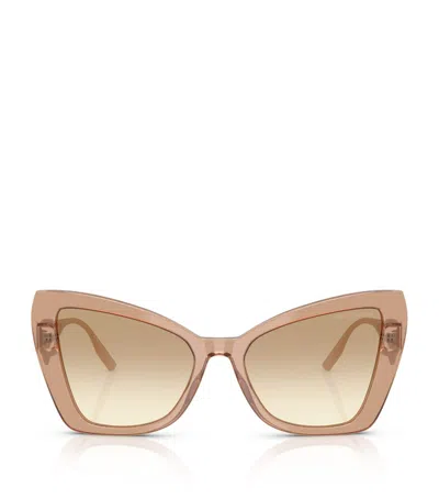 Dolce & Gabbana Acetate Sunglasses In Brown