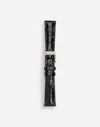 Dolce & Gabbana Alligator Strap With Buckle And Hook In Steel In Black
