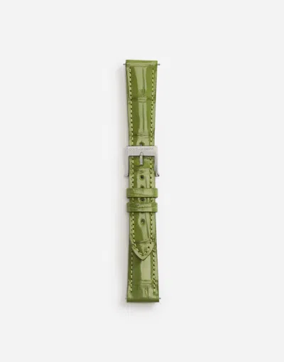 Dolce & Gabbana Alligator Strap With Buckle And Hook In Steel In Olive Green