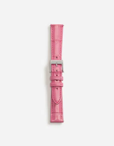Dolce & Gabbana Alligator Strap With Buckle And Hook In Steel In Pink