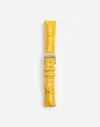 Dolce & Gabbana Alligator Strap With Buckle And Hook In Steel In Yellow
