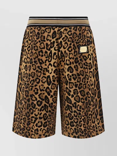 Dolce & Gabbana Animal Pattern Cotton Bermuda Shorts In Brown