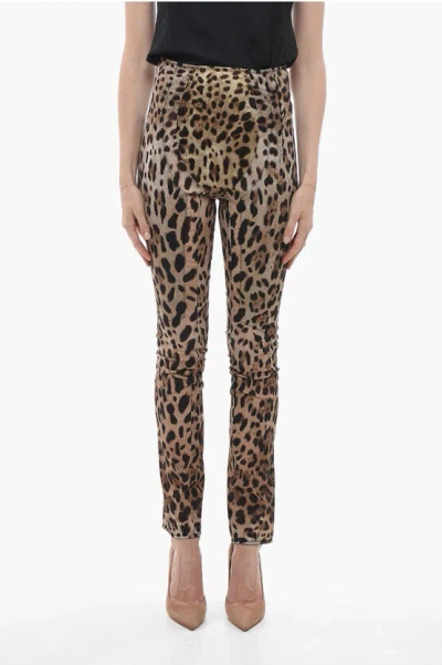 Dolce & Gabbana Animal Patterned Skinny Fit Pants In Brown