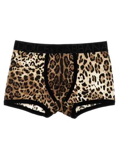 Dolce & Gabbana Animal Print Boxers Underwear And Body In Multicolor