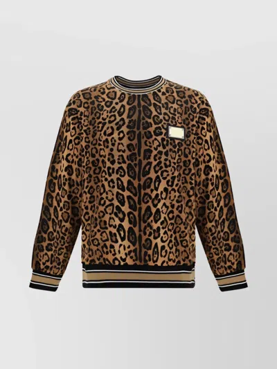 Dolce & Gabbana Animal Print Cotton Sweatshirt With Metal Hardware In Brown