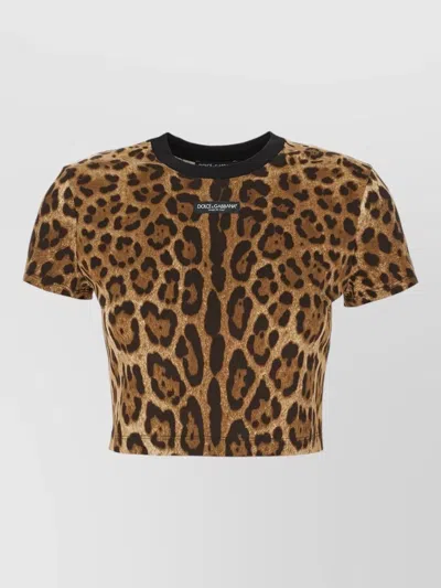 Dolce & Gabbana Animal Print Crew Neck Cropped T Shirt In Brown