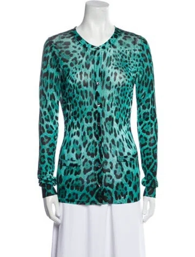 Pre-owned Dolce & Gabbana Animal Print Crew Neck Sweater In Blue