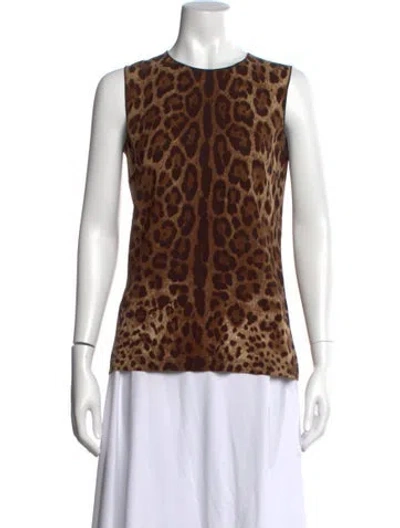 Pre-owned Dolce & Gabbana Animal Print Crew Neck Top In Neutral