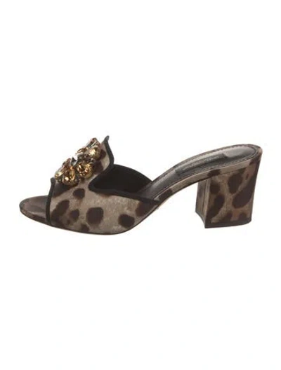 Pre-owned Dolce & Gabbana Animal Print Crystal Embellishments Mules In Neutrals
