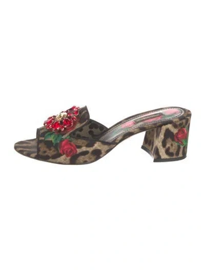 Pre-owned Dolce & Gabbana Animal Print Crystal Embellishments Slides In Brown