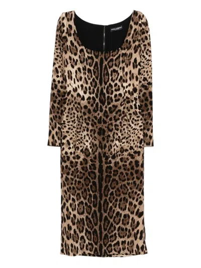 Dolce & Gabbana Animal-print Dress In Brown