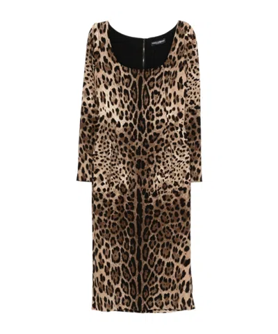 Dolce & Gabbana Animal-print Dress In Brown