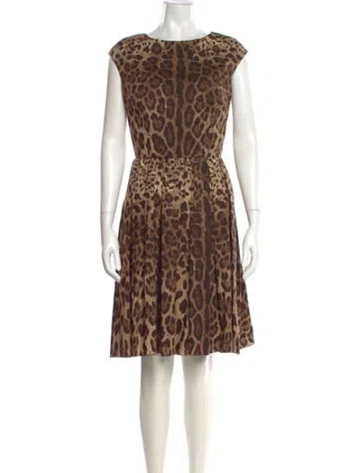 Pre-owned Dolce & Gabbana Animal Print Knee-length Dress In Brown