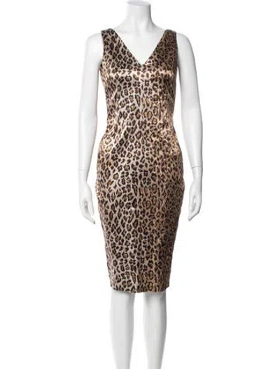 Pre-owned Dolce & Gabbana Animal Print Knee-length Dress In Multi