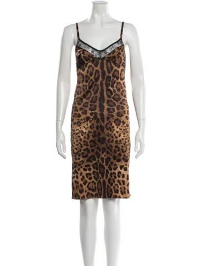 Pre-owned Dolce & Gabbana Animal Print Knee-length Dress In Neutral