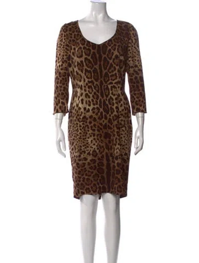 Pre-owned Dolce & Gabbana Animal Print Knee-length Dress In Neutral