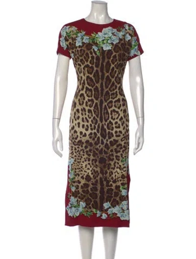 Pre-owned Dolce & Gabbana Animal Print Knee-length Dress In Neutral