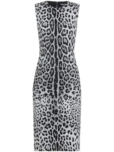 DOLCE & GABBANA DOLCE & GABBANA ANIMAL PRINT MIDI DRESS