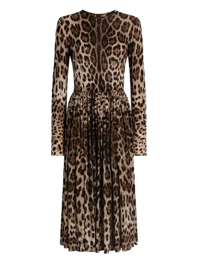Dolce & Gabbana Animal-print Midi Dress In Brown