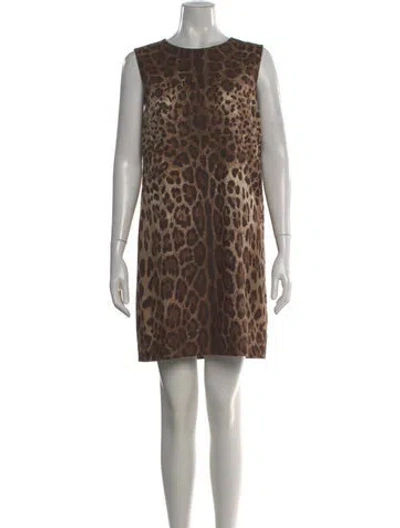 Pre-owned Dolce & Gabbana Animal Print Mini Dress In Brown