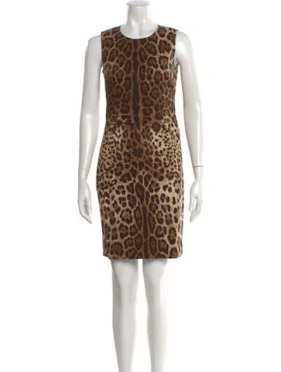 Pre-owned Dolce & Gabbana Animal Print Mini Dress In Brown