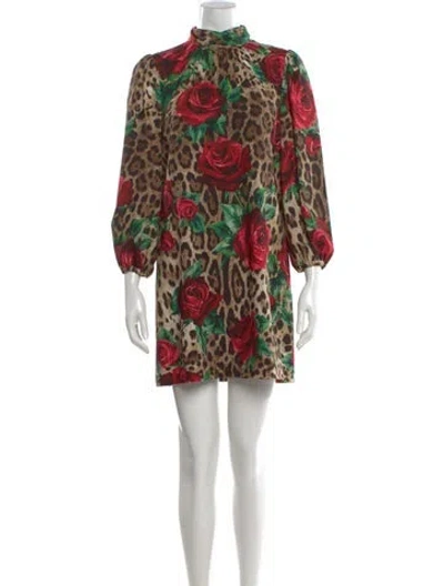 Pre-owned Dolce & Gabbana Animal Print Mini Dress In Brown
