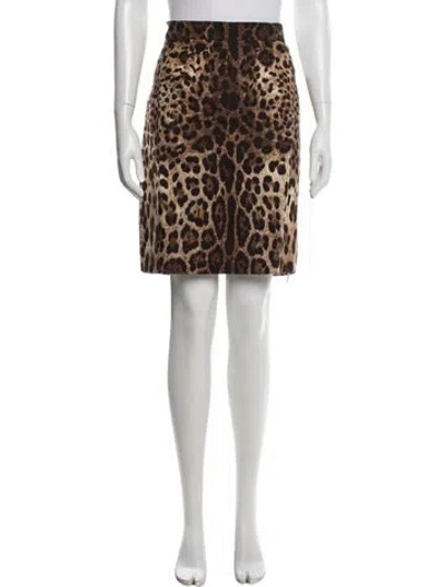 Pre-owned Dolce & Gabbana Animal Print Mini Skirt In Brown