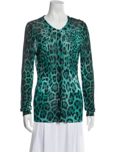 Pre-owned Dolce & Gabbana Animal Print Scoop Neck Sweater In Blue