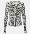 Dolce & Gabbana Animal-print Silk Sweater In Multicoloured