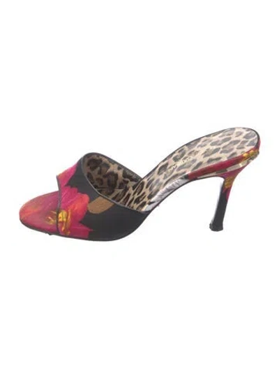 Pre-owned Dolce & Gabbana Animal Print Slides In Black