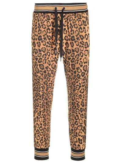 Dolce & Gabbana Animal Print Trousers In Animalier