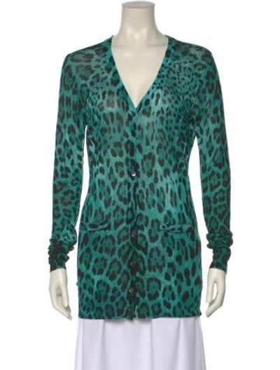 Pre-owned Dolce & Gabbana Animal Print V-neck Sweater In Blue