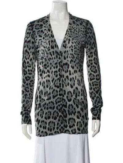 Pre-owned Dolce & Gabbana Animal Print V-neck Sweater In Blue