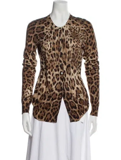 Pre-owned Dolce & Gabbana Animal Print V-neck Sweater In Brown